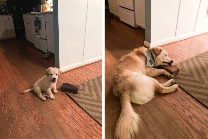 3567c553f29a13b19cb5f36deb