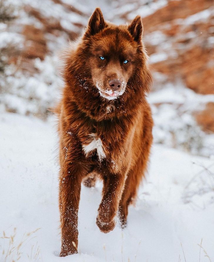 356bc65f838239ad4ddc35cd5b