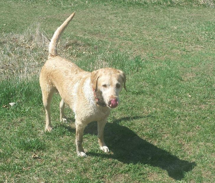 356d4254a189dcc7386b6502a7