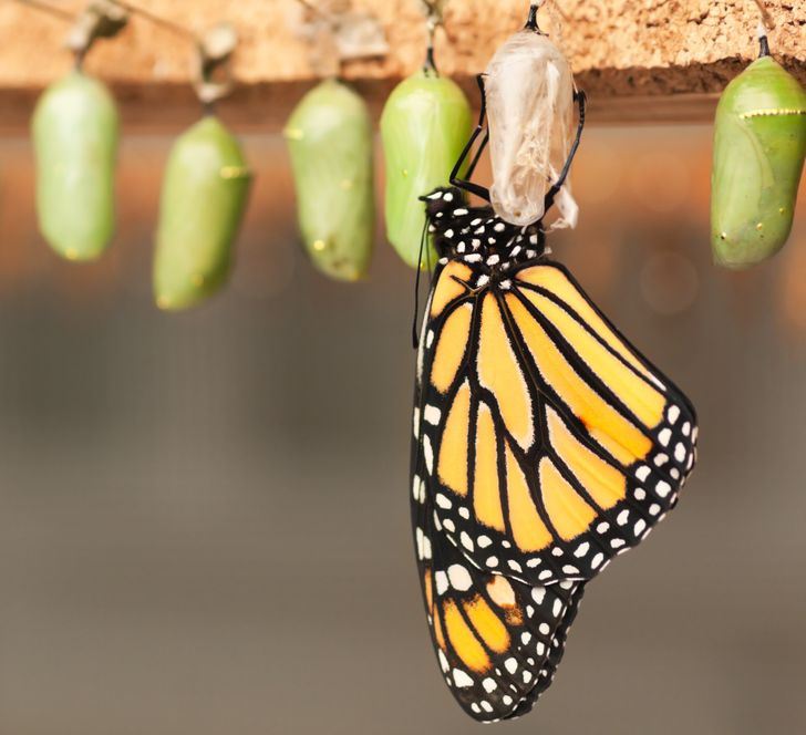 356ead596cbdd64e3bb182f939