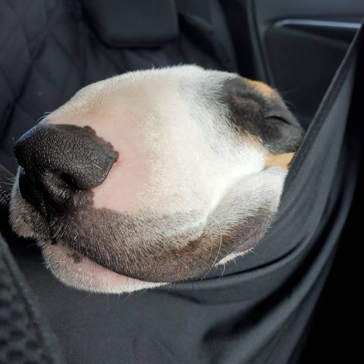 3572c35f869ff240a23d9d005f