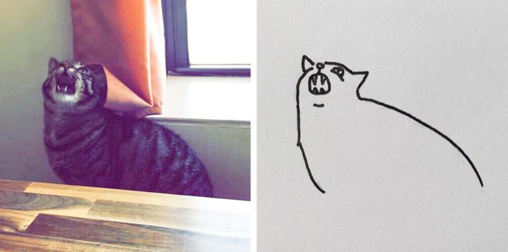 35735b59ca9e947d8637c6b886