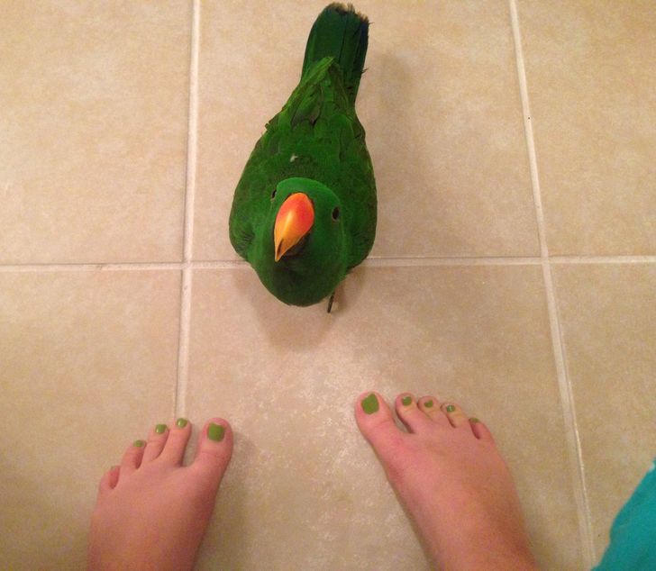 3578015319b145555775af44d7