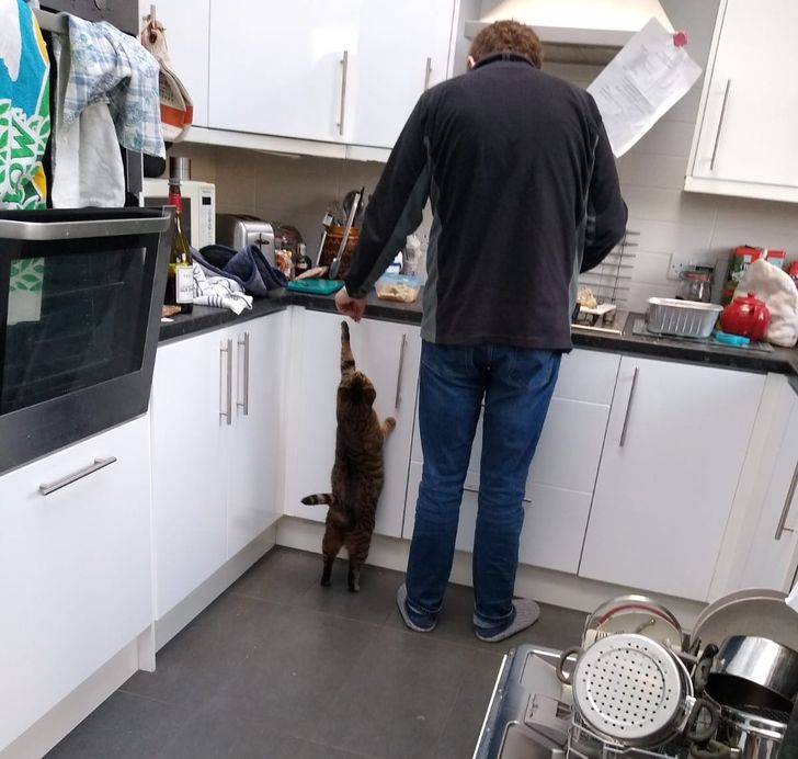 35793a5d5ab981dd4ccb40b2c1