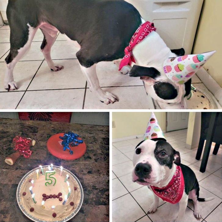 357fc6553d93fc034c8e037ad4