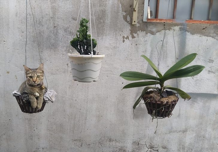 3585a9540297432f9951867046