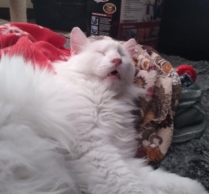 35899c551cb93ba27a8e2b52cc