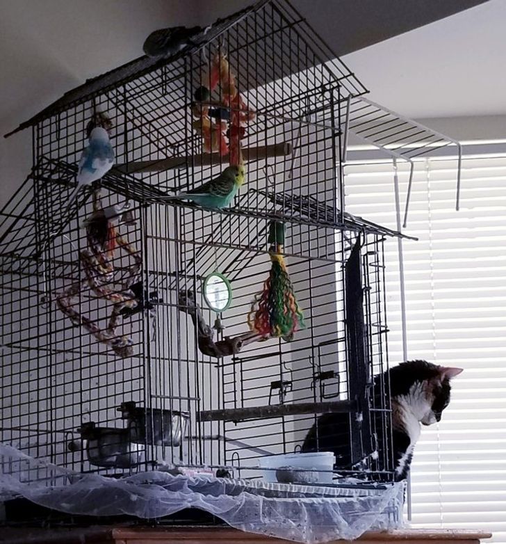 358a32537c9520d572f0263c47