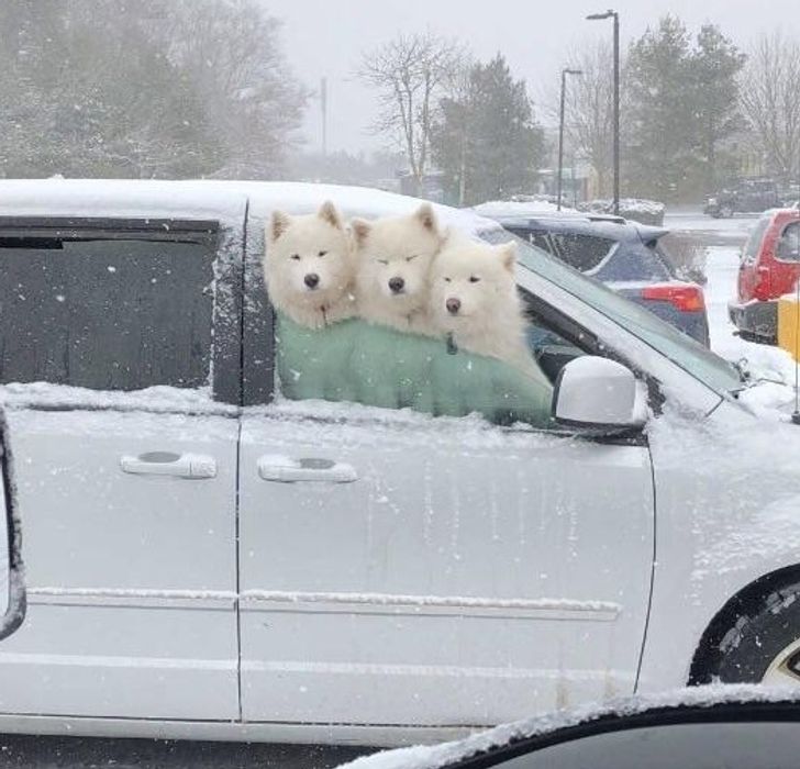 358bbb51fc91259698918b1cb3