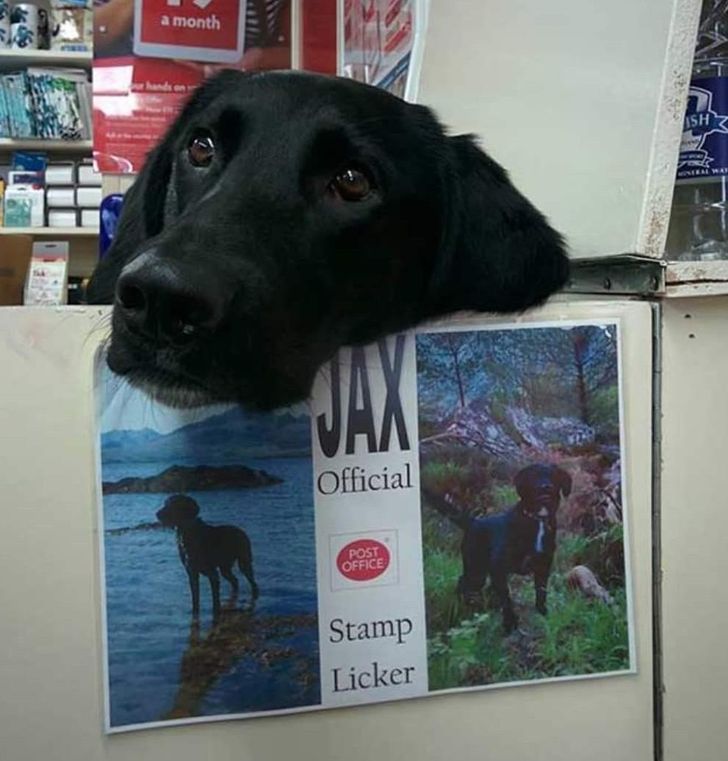 35903857b38d96a151c3d4d5c3