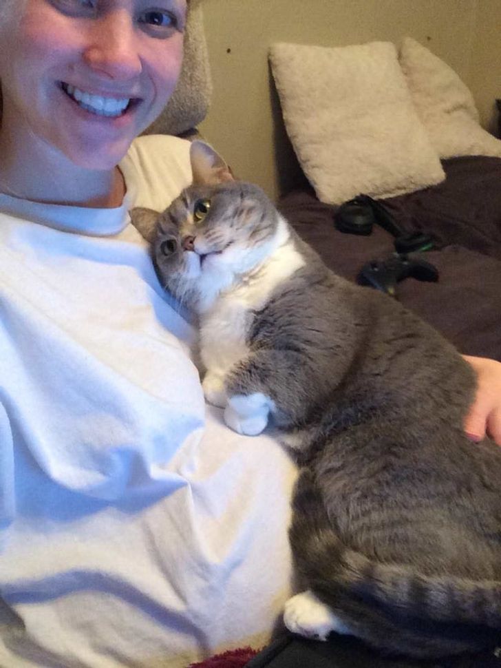 3590dc5c4c8087331dbe9a8908