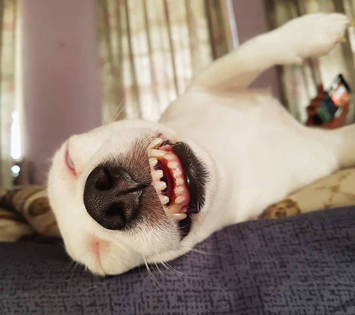 3591425be7a93119b64c66199f