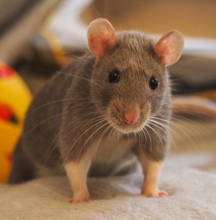 359a345fb9b910a572fd79720e