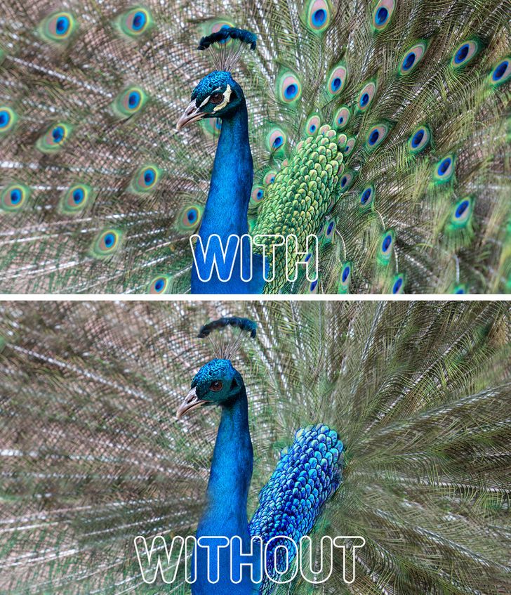 359ce55df38f81e6ac00c686c9