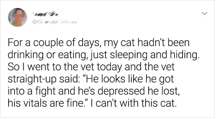 35a97a5eefbc62a1488b82bde9