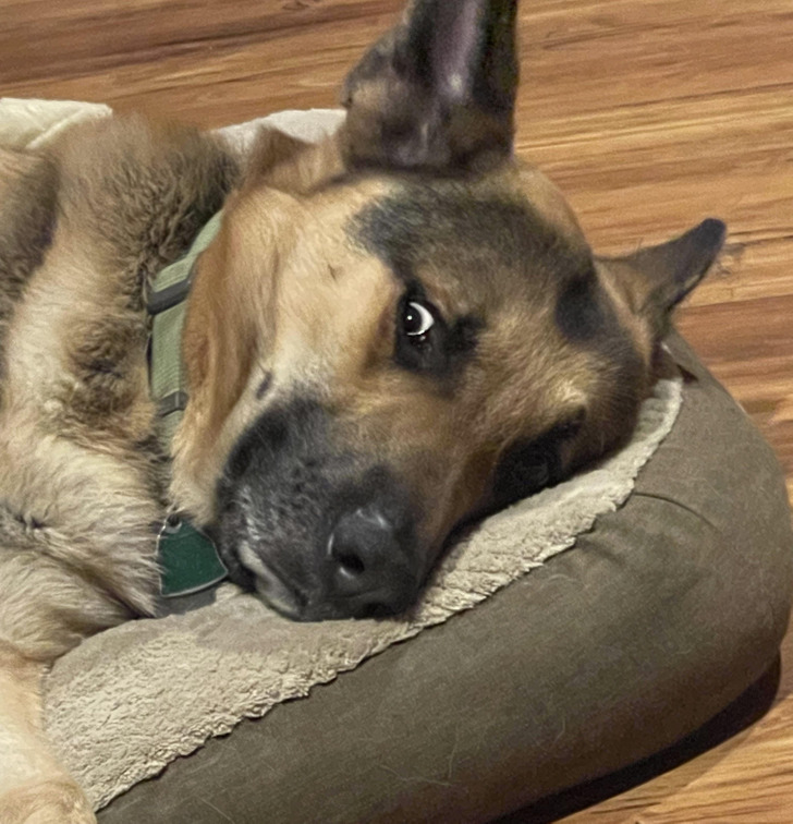 35a97d5d44beba8d9196a99f1a 35a97d5d44beba8d9196a99f1a