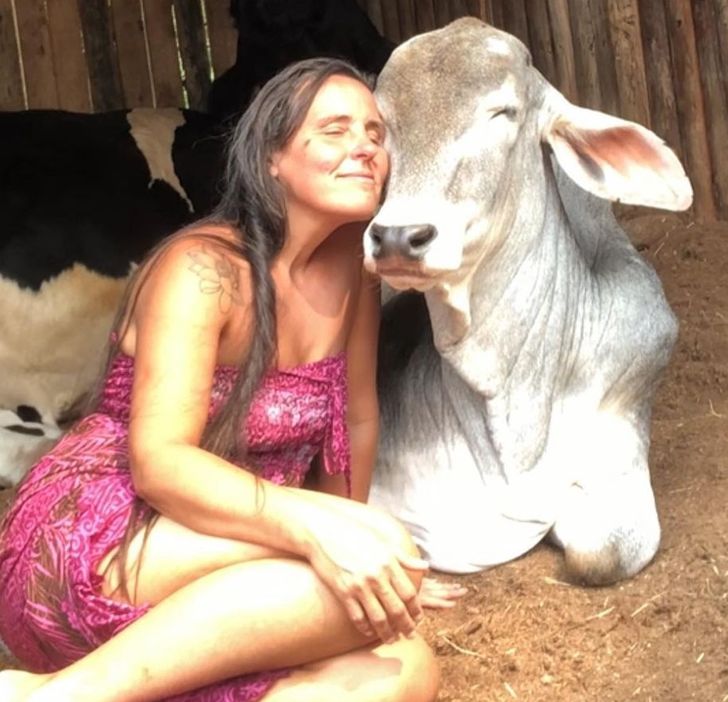 35ae655490a42de634dcd39eba