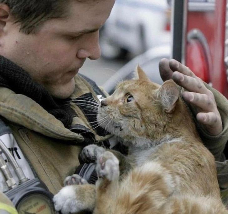 35b1f1577f899f5365db5c7b44