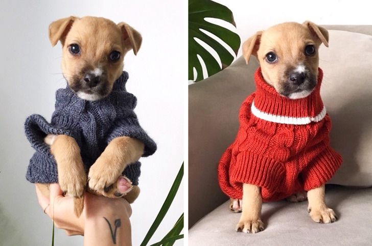 35be7e57d0b1618c234807a60b