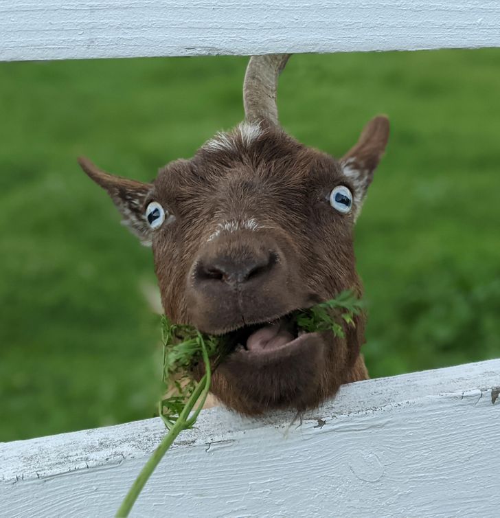 35c361529997836c200b64f917