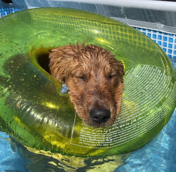 35c7385380ad0f99ce6a8626be