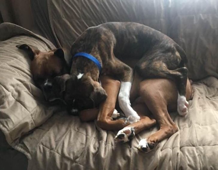 35ce0956cabced85f06b603698 35ce0956cabced85f06b603698