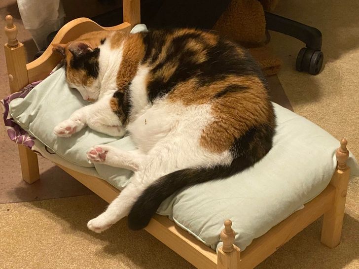 35d00f5a02a8071d3f51478c5d