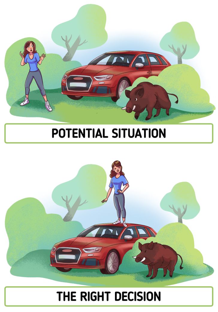 35d6175b409290d9619a8095d1