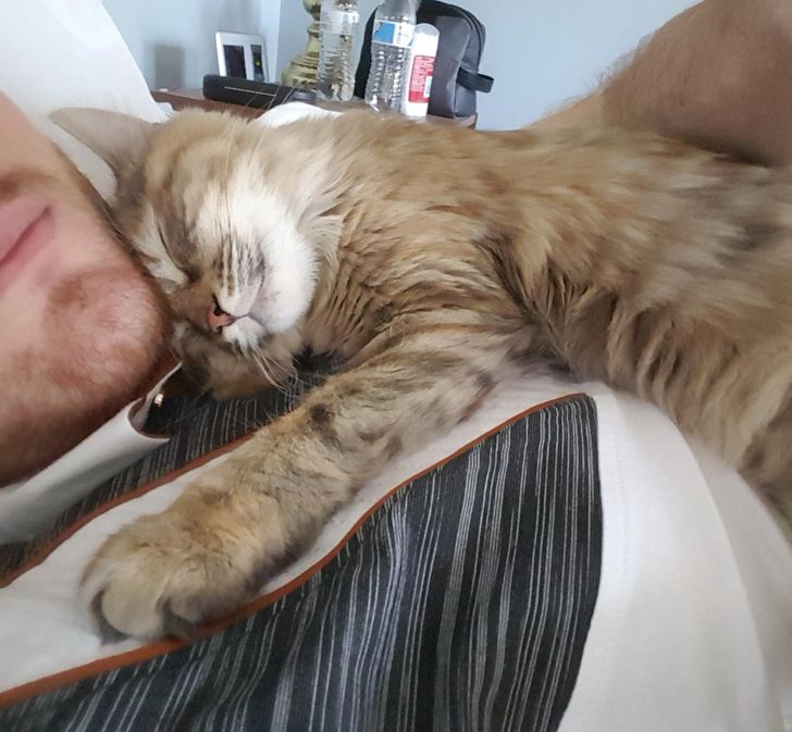 35dd3f5a3094289e32c52dcbc3