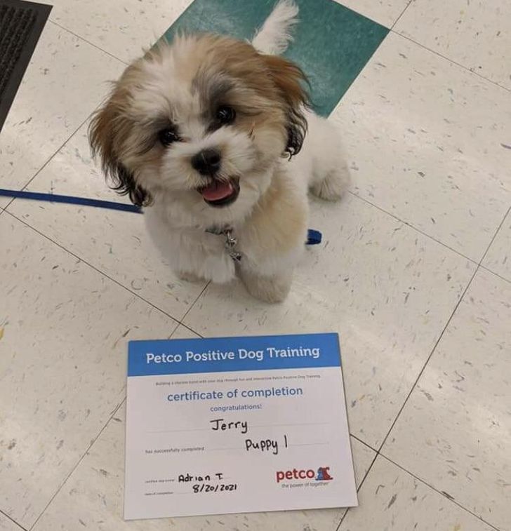 35e5af59099eab7f959e3fddd6