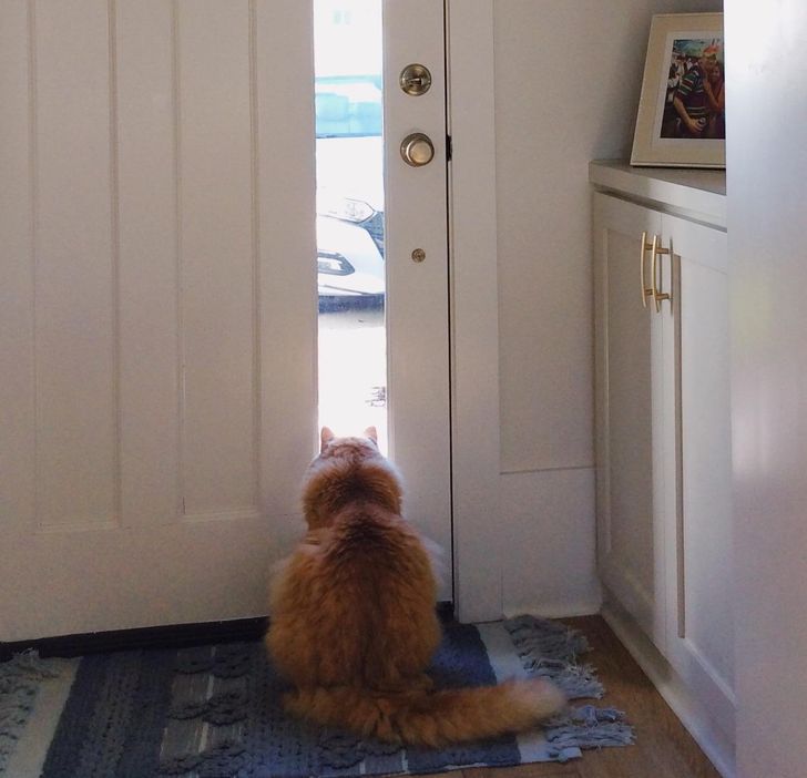 35e6f952a0bfc3a4765406689d