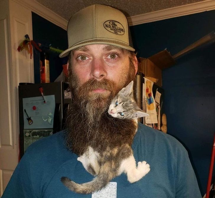 35fd005bb285e8e170523543d5