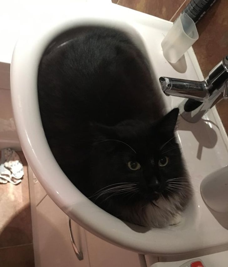 360edd59efab26ff8f3ffbafa0