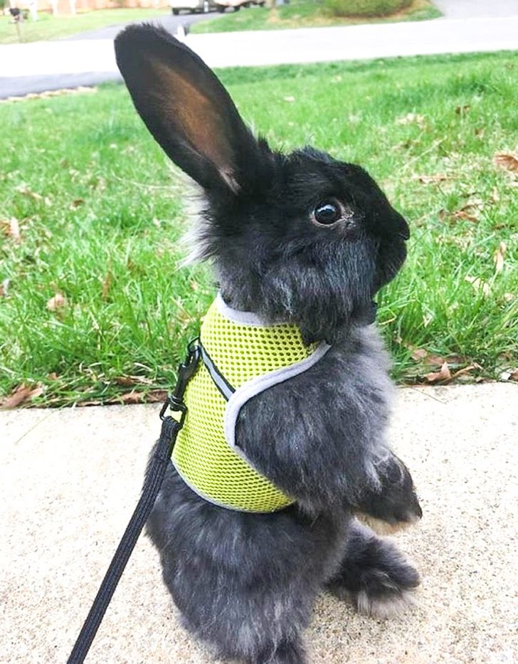 360f7151348a6baf4eae1eab88