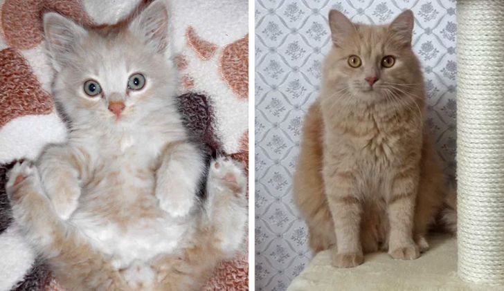 3611775917937b33a7ec4a2f43