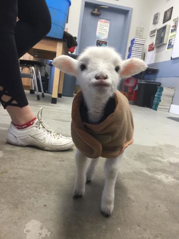 3614525fde9716807db6c13db2