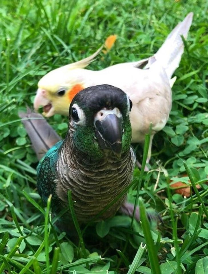 36164f5428aec980fb9d374661