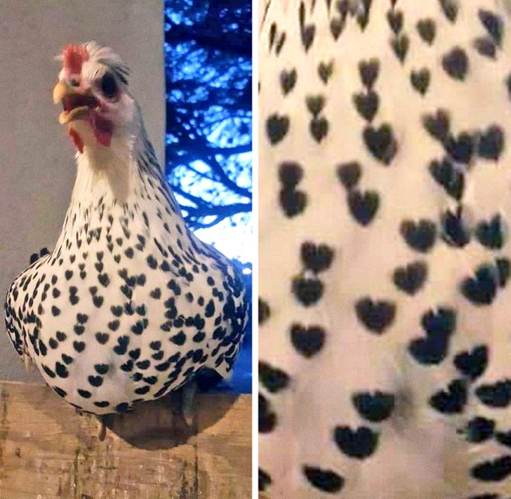 361c2151d8bdc4b9ee2924222a