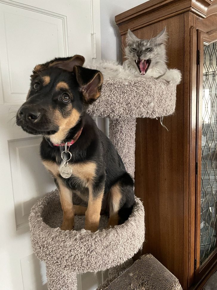 3638b85c66b93cd67dfae6d5f0