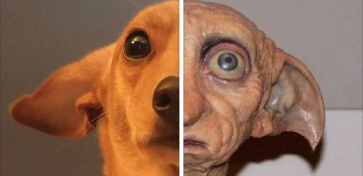 36422055e0bcd47c74601c788c