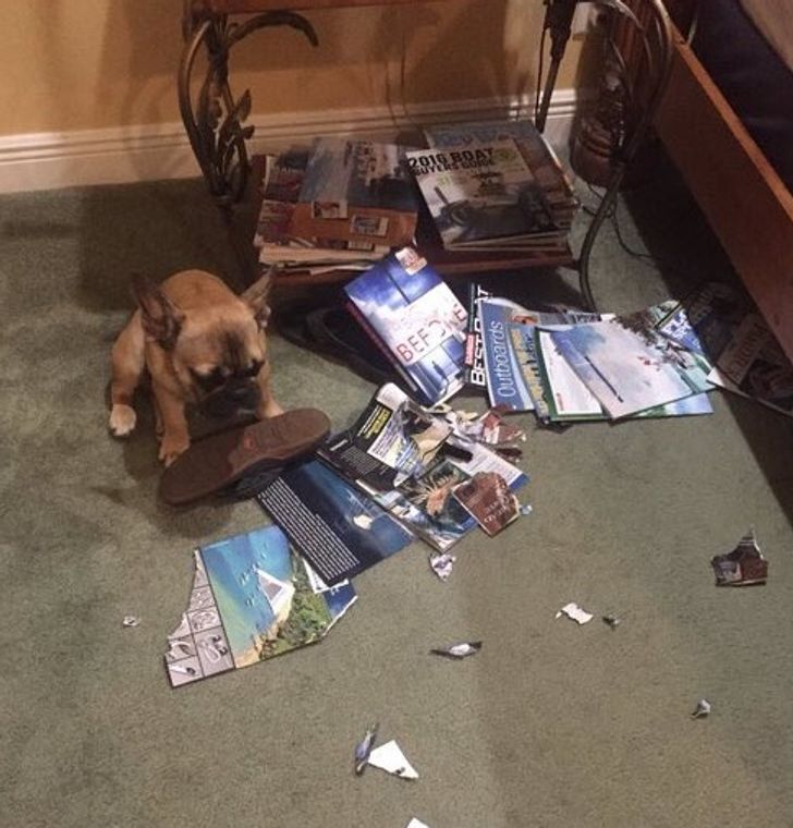 3643be5031b9ab3e8adc86115a