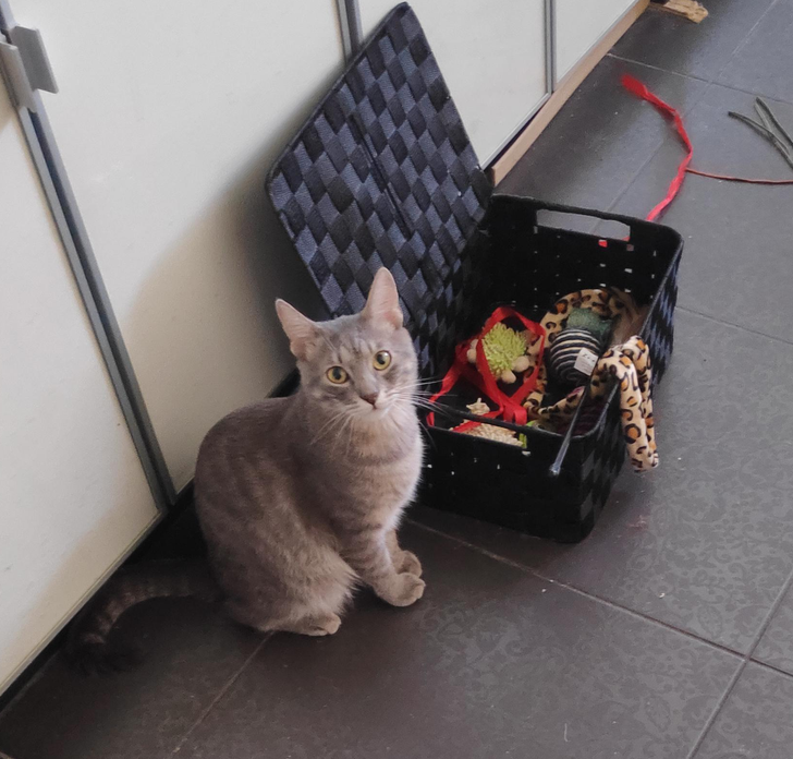 364a2154fd8f0b68376b4ecd5b