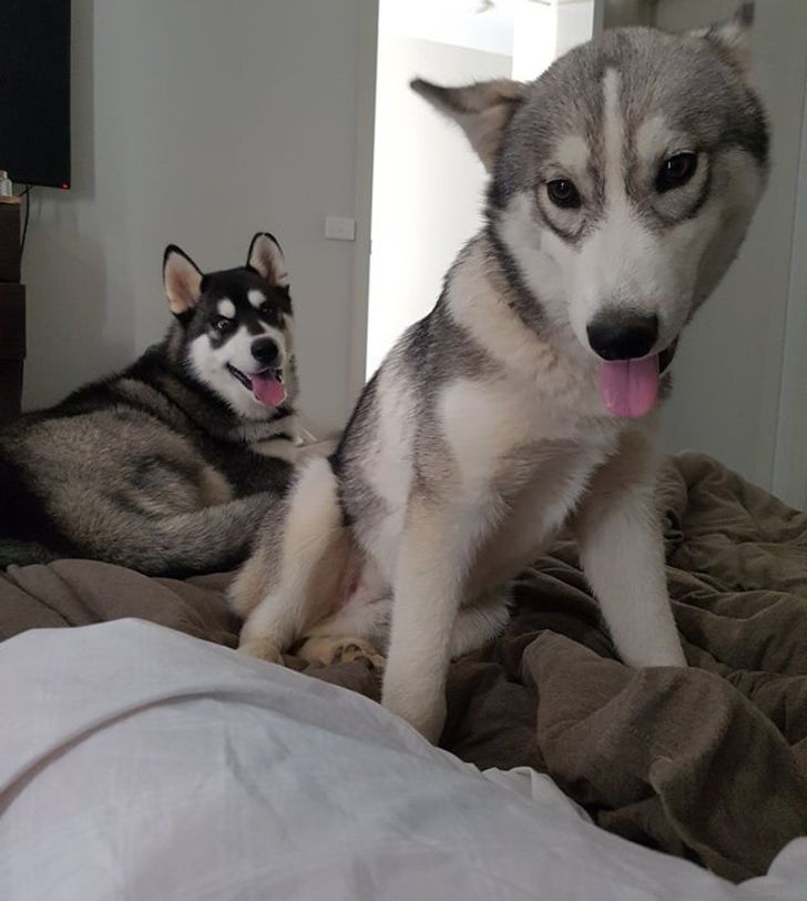 3655835097b0b292ef26972cf4