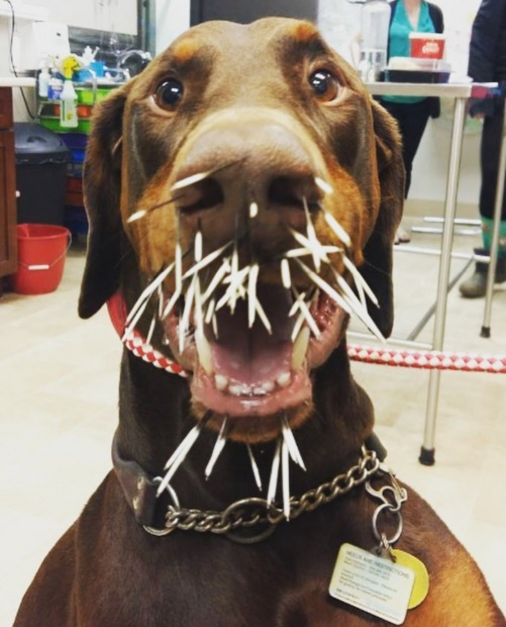 3656fc5097b4b050396a3843c4