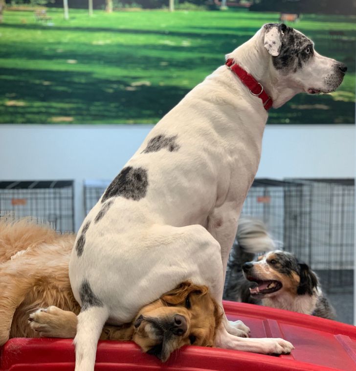 3657ff5997af2597e70ec042fc 3657ff5997af2597e70ec042fc