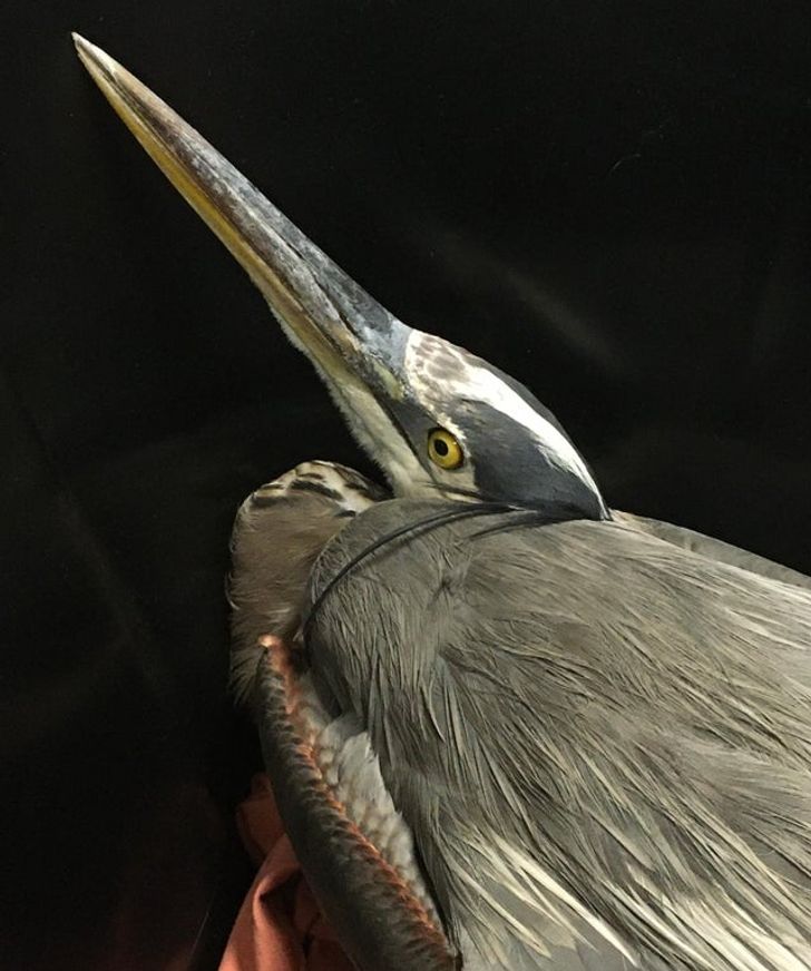 36659358d5be8cc35bc11ffcd5