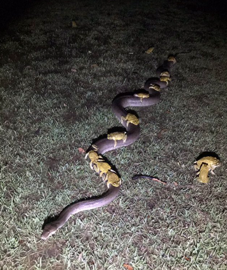 3668ee551e96bcfbcc37abebb5