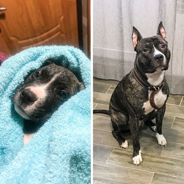 366cbe50ce8f86adf88760d725