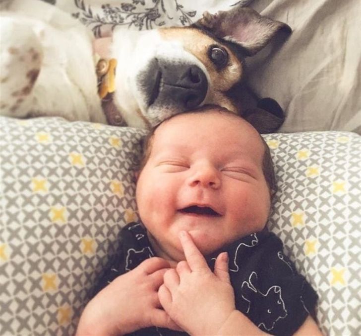 366de0516ab34cf96eed2ed469