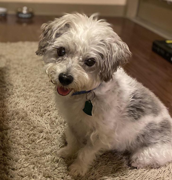 3671125873a10158d9bcdf7ca8